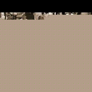 Profile Picture of Kevin Brachel (@331899439) on Myspace