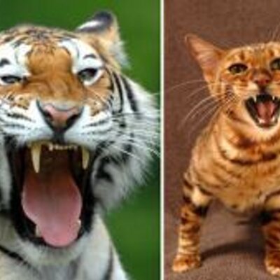 Profile Picture of Bryan Holbrook (@BryanHolbrook2) on Twitter