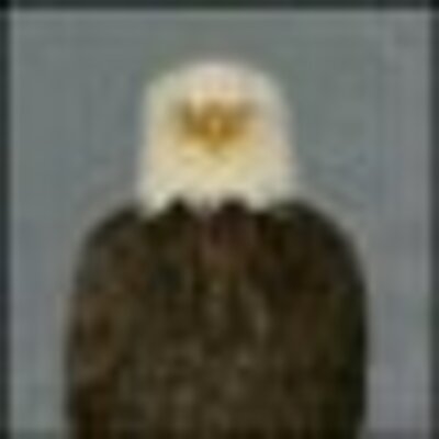 Profile Picture of Paul G. Stowers (@eaglesroost) on Twitter