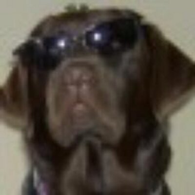 Profile Picture of Larry Irwin (@IdleInvest) on Twitter