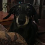 Profile Picture of Michael (@miquelimas) on Instagram