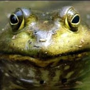 Profile Picture of Andrew Camp (@andrewcamp9210) on Youtube