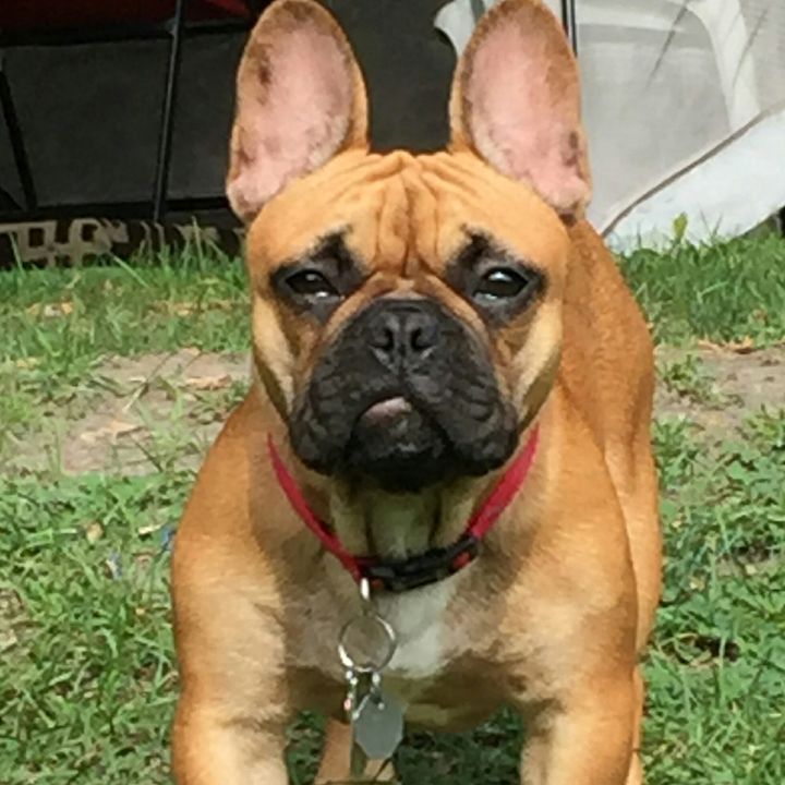 Profile Picture of Connie Bray (@@conniebray) on Tiktok