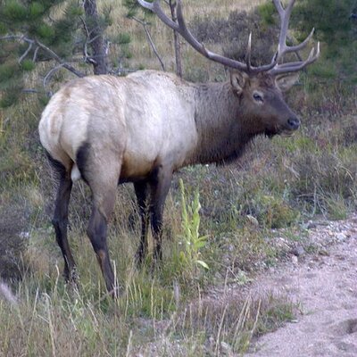 Profile Picture of Scott Gaerte (@scottgaerte) on Twitter