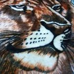 Profile Picture of Thomas Hughey (@thomashughey) on Instagram