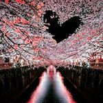 Jamie Cox Towle - Instagram Profile Picture of Jamie Cox Towle (@jamie.towle) on Instagram