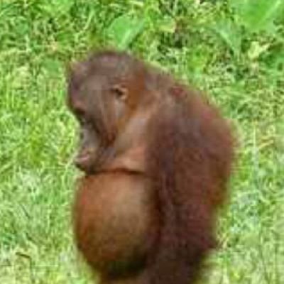 Profile Picture of Richard Seager (@RichardSeager4) on Twitter