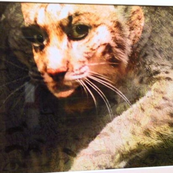 Profile Picture of Morgan Tarbutton (@dkdkdjshdufisj) on Poshmark