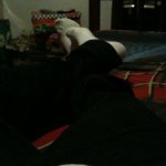 Profile Picture of Jordan Reichert (@jordansalejandrin) on Instagram