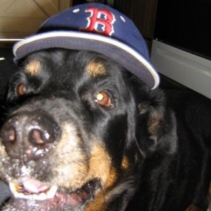 Kevin Ciampa - Myspace Profile Picture of Kevin Ciampa (@rockybeefstew) on Myspace