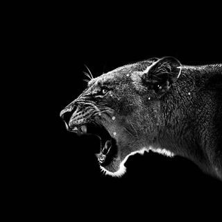 Profile Picture of Juan Gonzales Orizano (@juan.gonzalesorizano) on Facebook