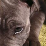 Profile Picture of Oliver Ison (@ll_waldo_ll) on Instagram