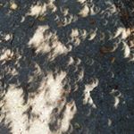 Profile Picture of Brian Maloy (@brimal42) on Instagram