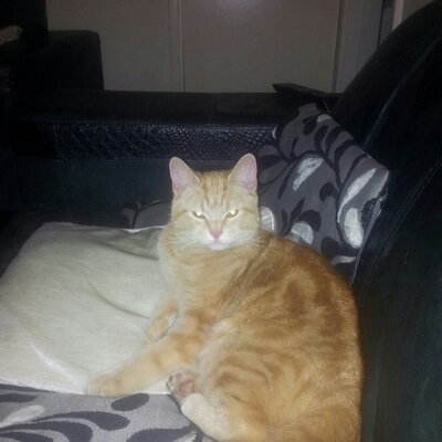 Profile Picture of Mark Mather (@MatherMark) on Twitter