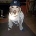 Profile Picture of Daniel Fehrenbach (@daniel.fehrenbach.5) on Facebook