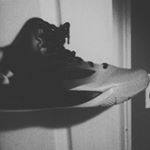 Profile Picture of Lloyd Douglas Hovey (@lloydhovey2013) on Instagram