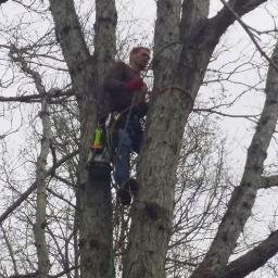 Profile Picture of Daniel Oyler (@Dstreeservices1) on Twitter