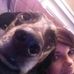 Profile Picture of Lisa Ann Wolinsky (@lisaann.wolinsky) on Facebook