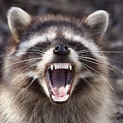 Profile Picture of Denys Davydov (@denysdavydov9208) on Youtube