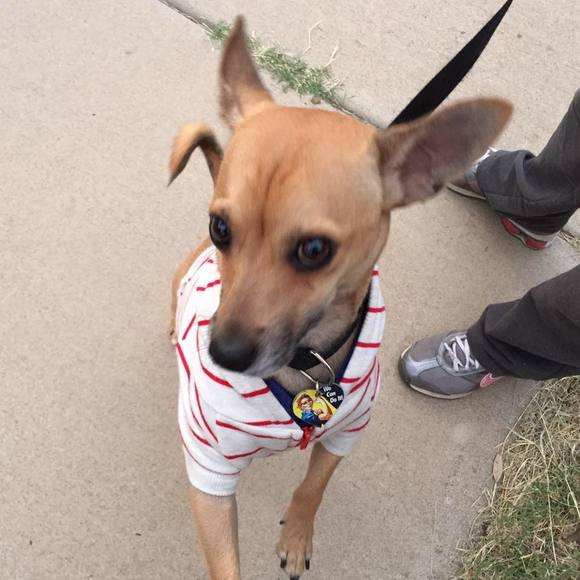 Profile Picture of Hyun Krugel (@chokrugel) on Poshmark