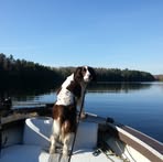 Profile Picture of Scott Sauve (@scott.sauve.731) on Facebook