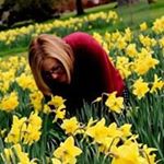 Profile Picture of Kathie Chapman (@chapmankathie) on Instagram