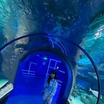 Profile Picture of Ute Krämer (@Ute-Krämer) on Facebook