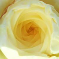 Profile Picture of Crystal Li (@crystal-li-19) on Quora