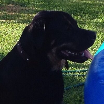 Profile Picture of Jason Fogarty (@jfogs70) on Twitter