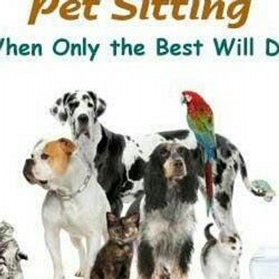 Profile Picture of Sharron Nichols (@sharronspets) on Twitter
