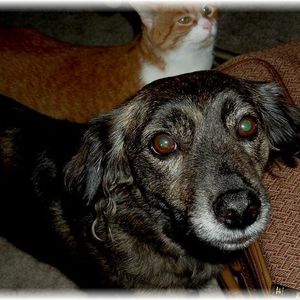 Profile Picture of Jeanette Newton (@jnewt1950) on Myspace