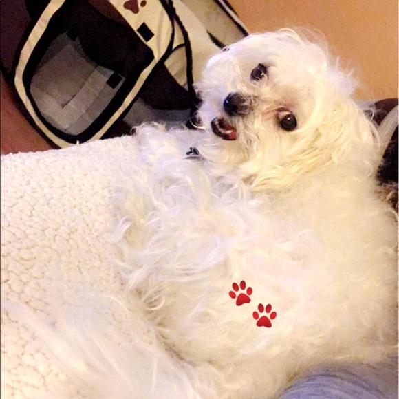 Profile Picture of Lory Apilado (@lapilado) on Poshmark