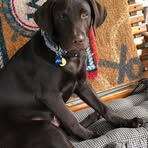 Profile Picture of Randall Mutter (@randall.mutter.3) on Facebook