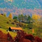 Profile Picture of Kim Kenyon (@kim.kenyon.927) on Instagram