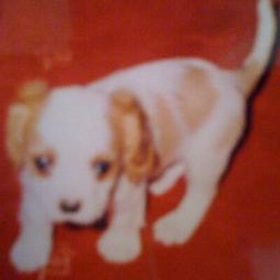 Profile Picture of Kerri Hendry Sharp (@Foxydiva72) on Twitter