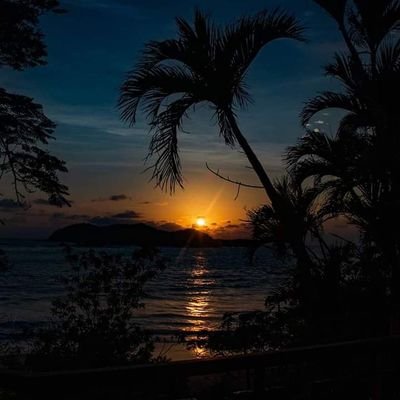 Profile Picture of Gabriel Viveros (@GABRIELVIVEROS1) on Twitter