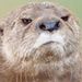 Profile Picture of Michael Balluff (@michaelballuff) on Pinterest