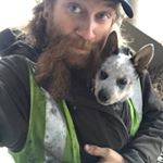 Profile Picture of James Scheri (@busted_knuckles_n_black_smoke) on Instagram