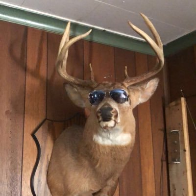 Profile Picture of Brian Kovaleski (@BKWoodDesigns) on Twitter