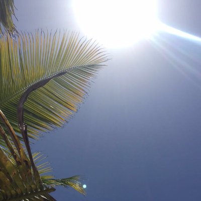 Profile Picture of Steve Edmonds (@steveedmonds55) on Twitter