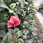 Profile Picture of Nhan Phan (@nhanphan16) on Flickr