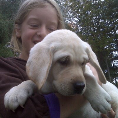 Profile Picture of Claudia Stuart (@Petschange) on Twitter