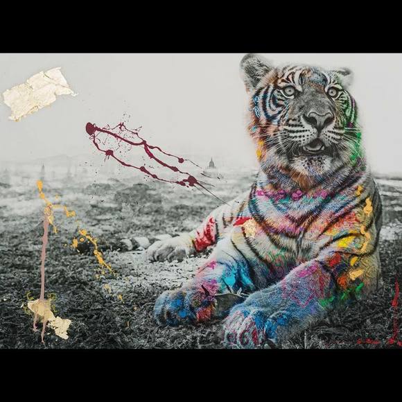 Profile Picture of Carlos Gomez (@carlosgomez509) on Poshmark