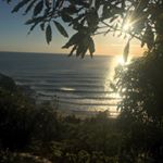 Profile Picture of Wade Howells (@wade_67) on Instagram