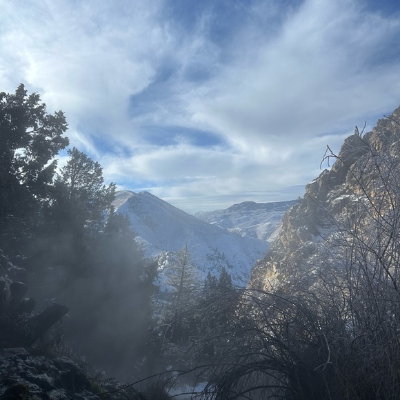 Profile Picture of Daniel Shoup (@danielmshoup) on Poshmark