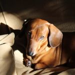 Profile Picture of eric barbosa (@zeriquix) on Instagram