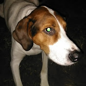 Profile Picture of Albert Taylor (@alberttaylor8139) on Youtube