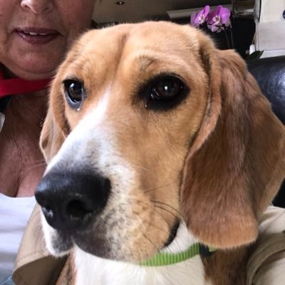 Profile Picture of Jo Hunter (@JoHunte98760939) on Twitter