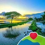 Profile Picture of Shawn Rochelle Jaber (@shawn.jaber.7) on Facebook