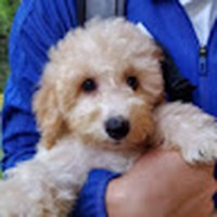 Profile Picture of Kyle Tso (@kyle-tso-4) on Quora